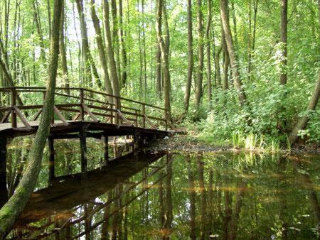 Landgasthof Zum Muehlenteich Eggersdorf  Zewnętrze zdjęcie